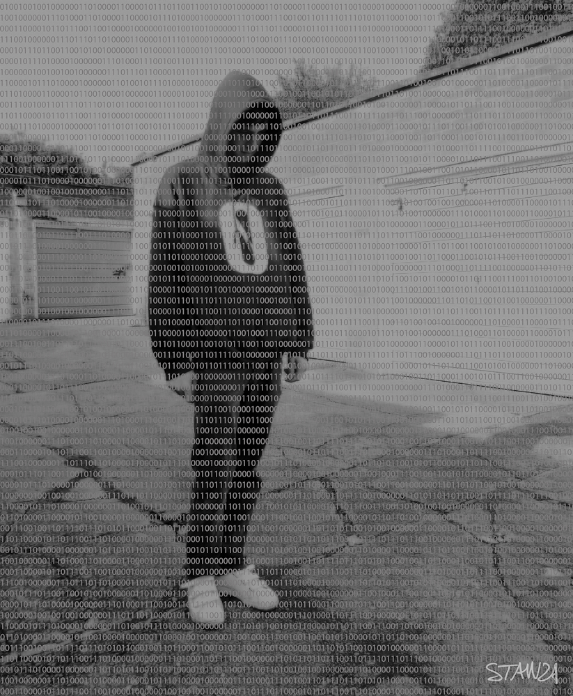 Stanza ,  The Binary Grafitti Club